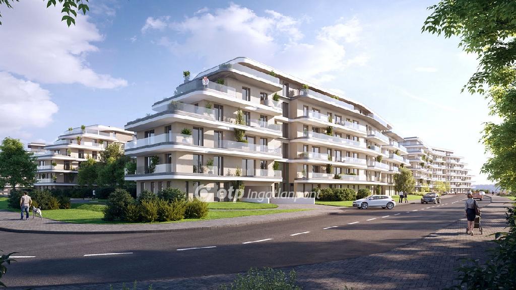 54 nm - AADAT.propertyImage (3)