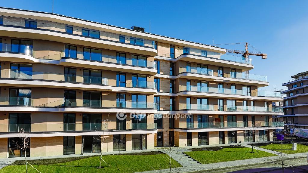 54 nm - AADAT.propertyImage (7)