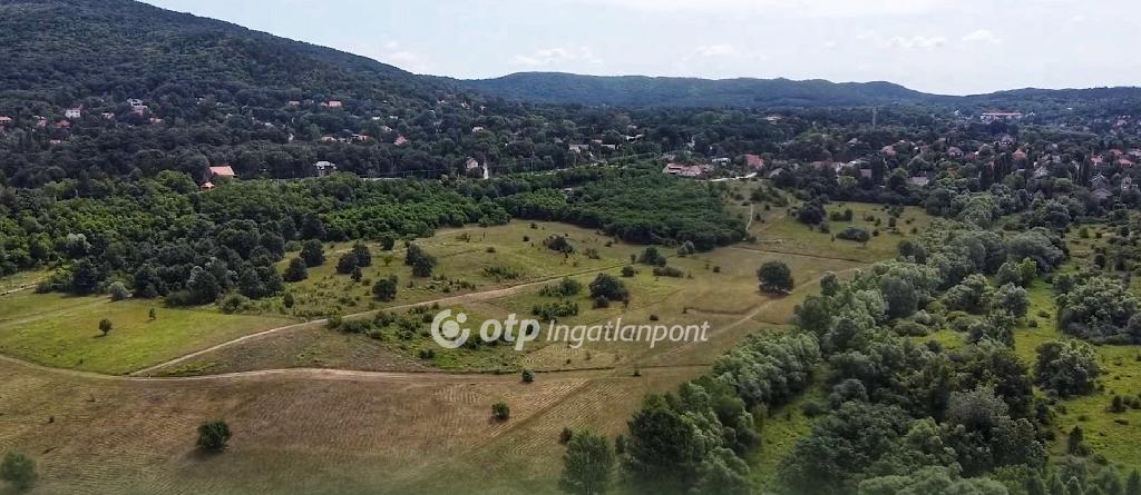 1005 nm - AADAT.propertyImage (1)
