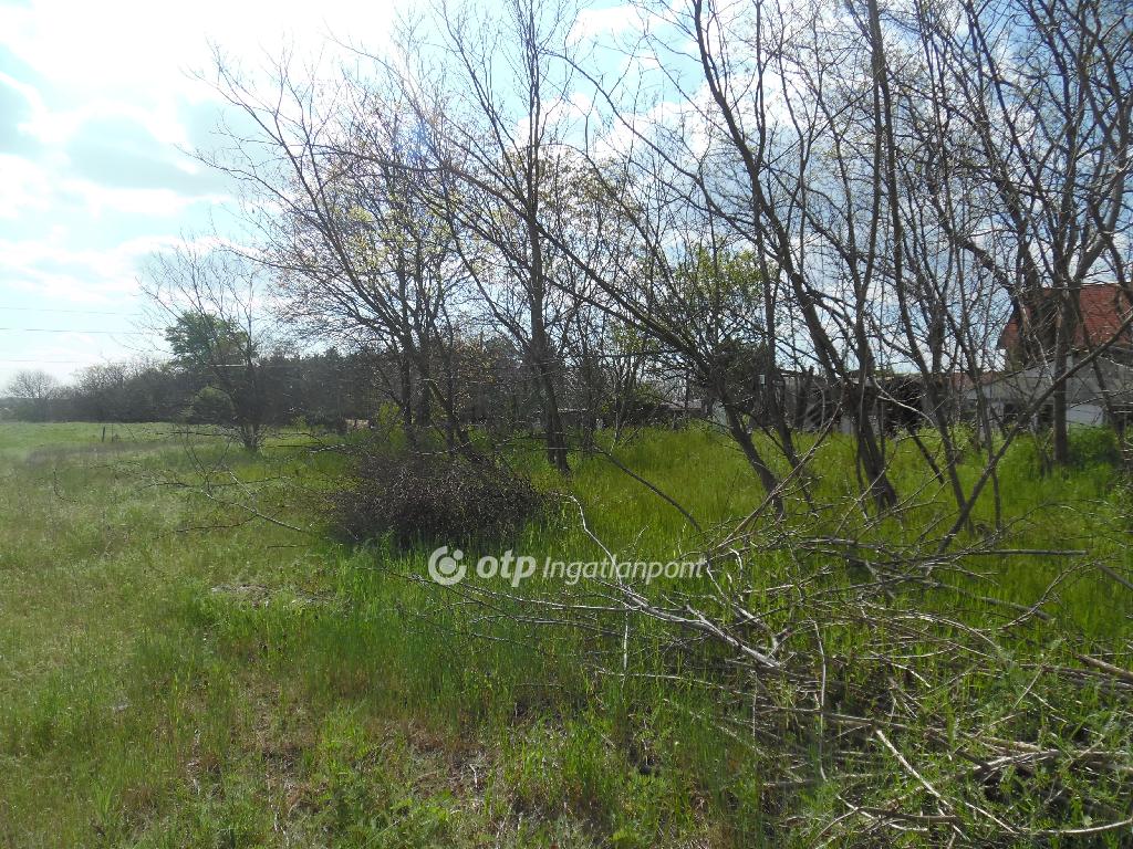 10071 nm - AADAT.propertyImage (4)