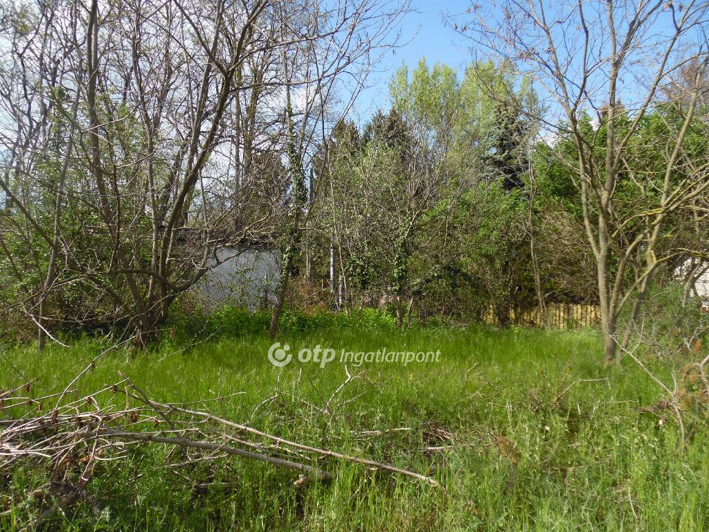 10071 nm - AADAT.propertyImage (5)