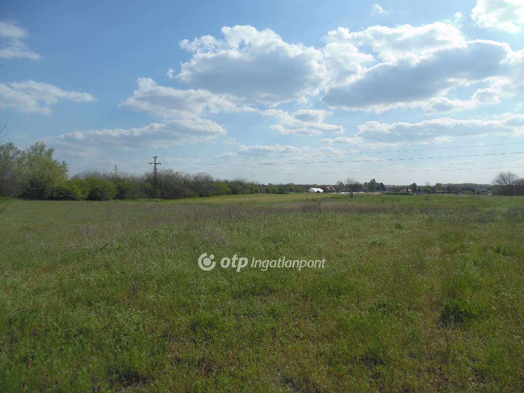 10071 nm - AADAT.propertyImage (2)