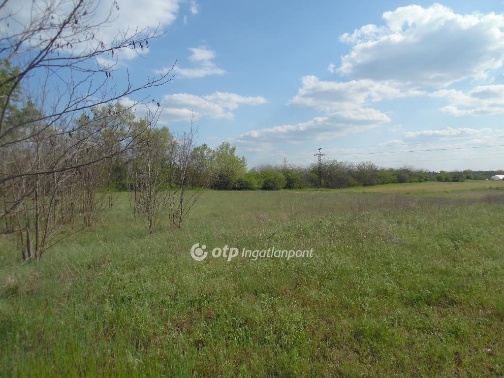 10071 nm - AADAT.propertyImage (1)