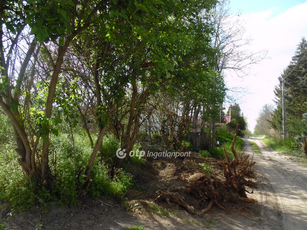10071 nm - AADAT.propertyImage (10)