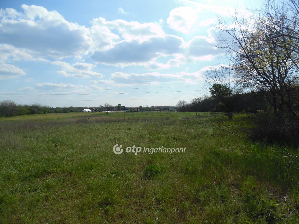 10071 nm - AADAT.propertyImage (8)