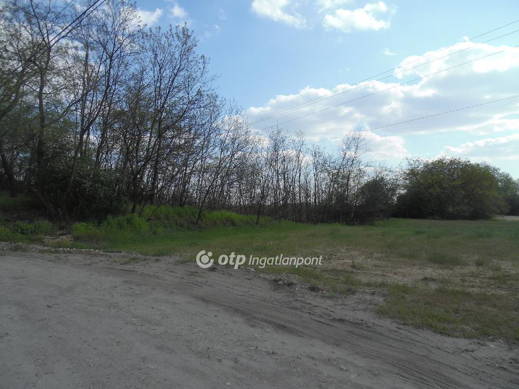 10071 nm - AADAT.propertyImage (11)