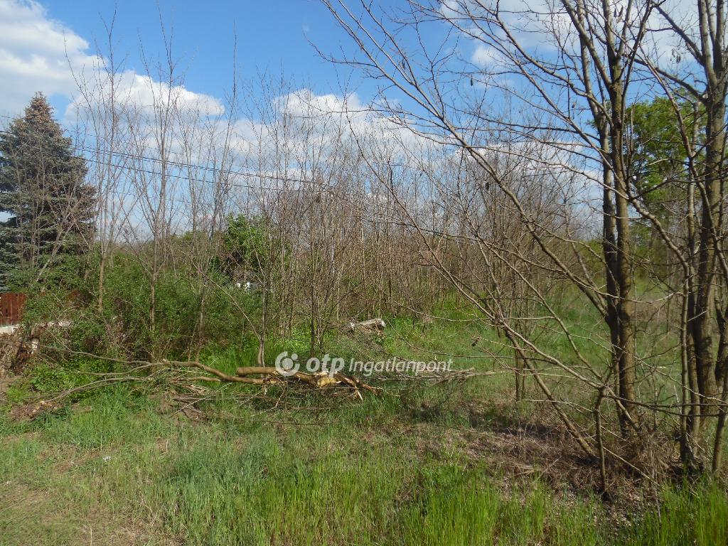 10071 nm - AADAT.propertyImage (9)