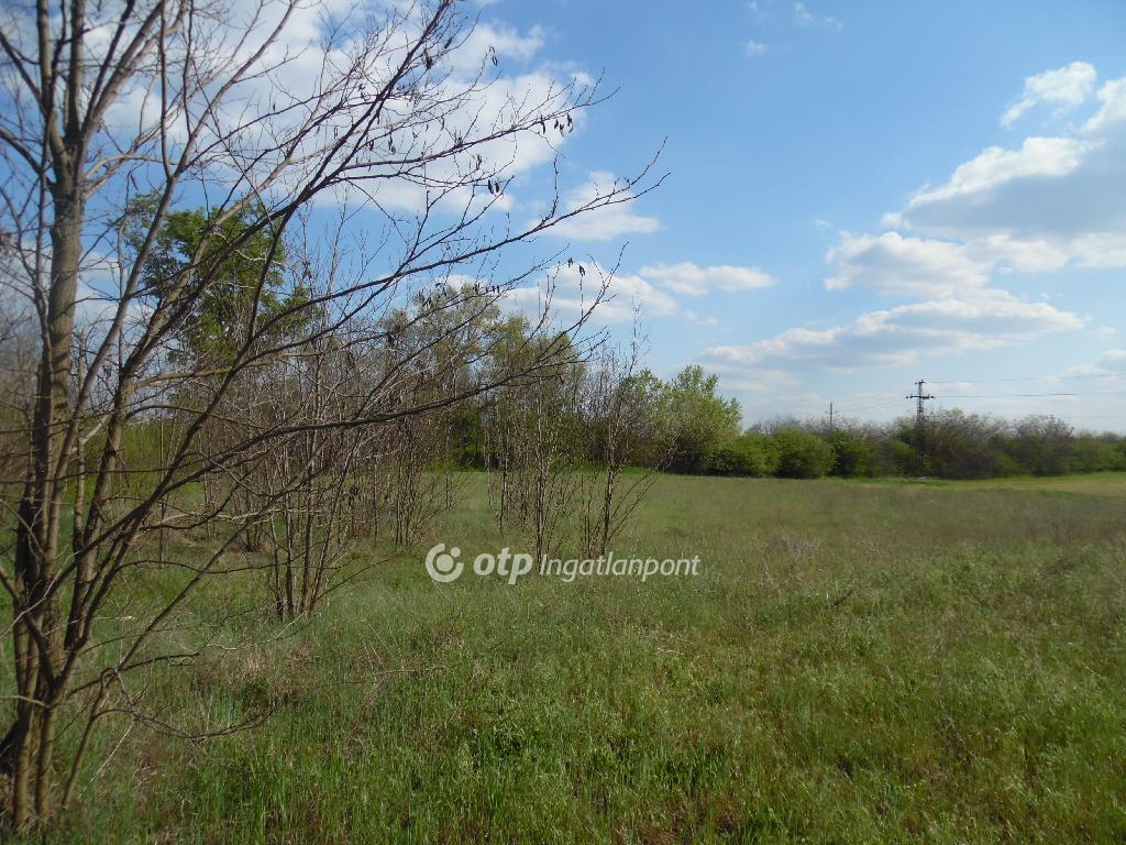 10071 nm - AADAT.propertyImage (6)