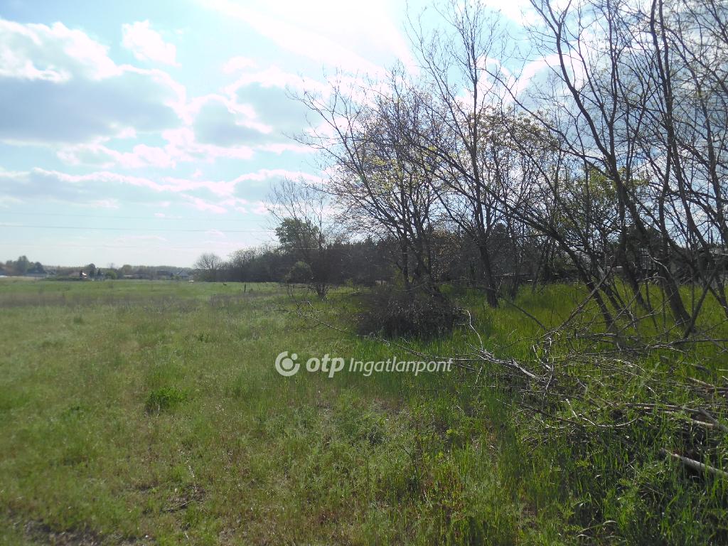 10071 nm - AADAT.propertyImage (7)
