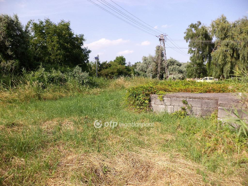 855 nm - AADAT.propertyImage (5)