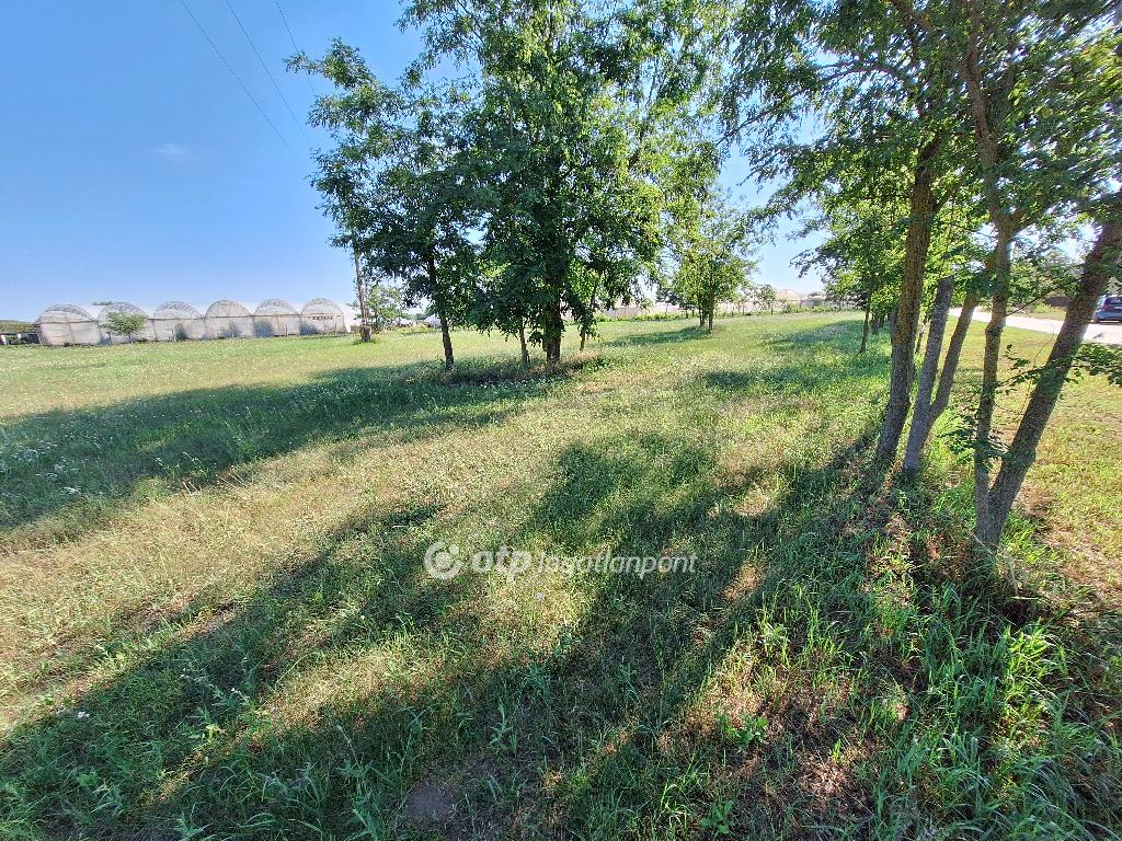 3065 nm - AADAT.propertyImage (3)
