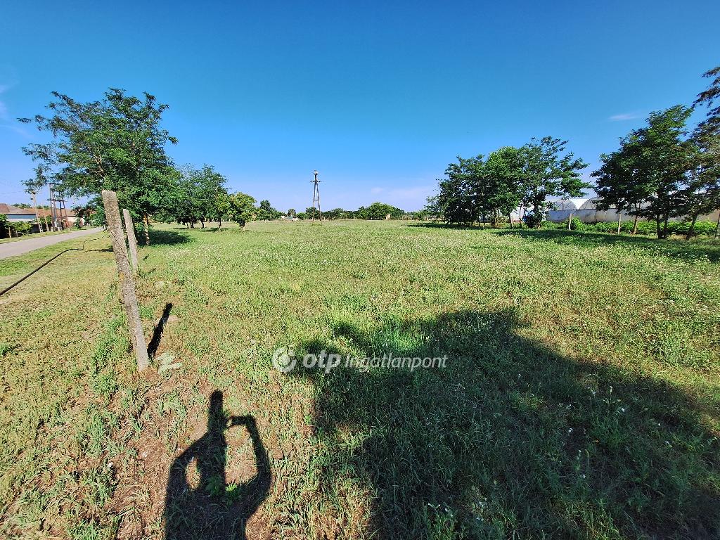 3065 nm - AADAT.propertyImage (4)