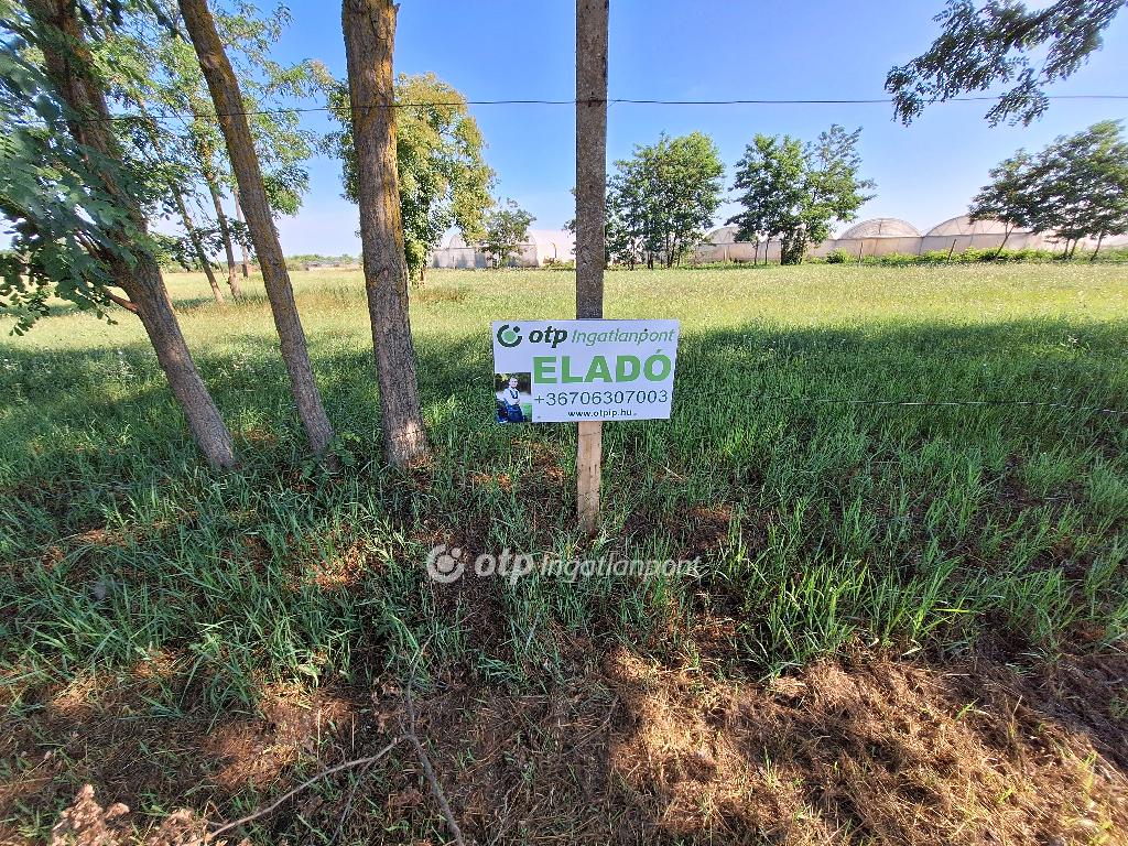 3065 nm - AADAT.propertyImage (1)