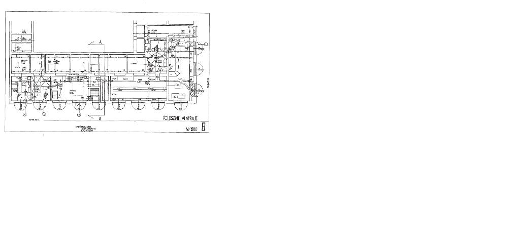 576 nm - AADAT.propertyImage (3)