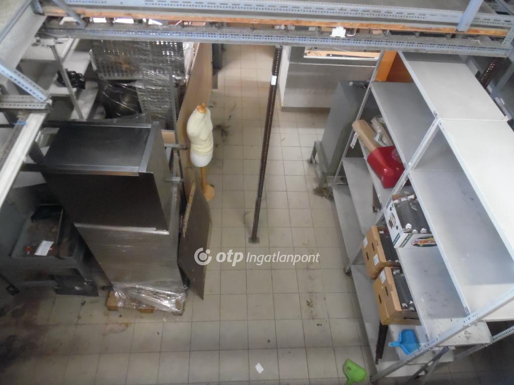 576 nm - AADAT.propertyImage (17)