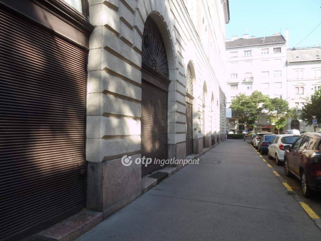 576 nm - AADAT.propertyImage (7)
