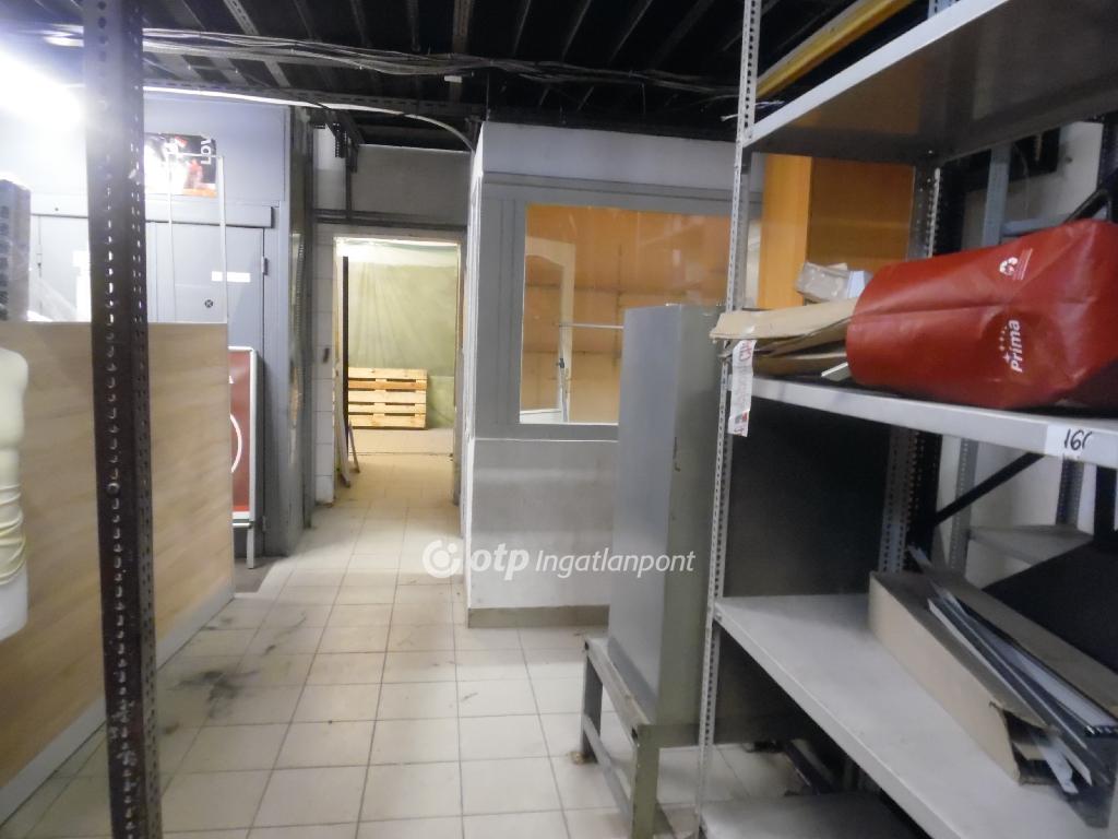 576 nm - AADAT.propertyImage (19)