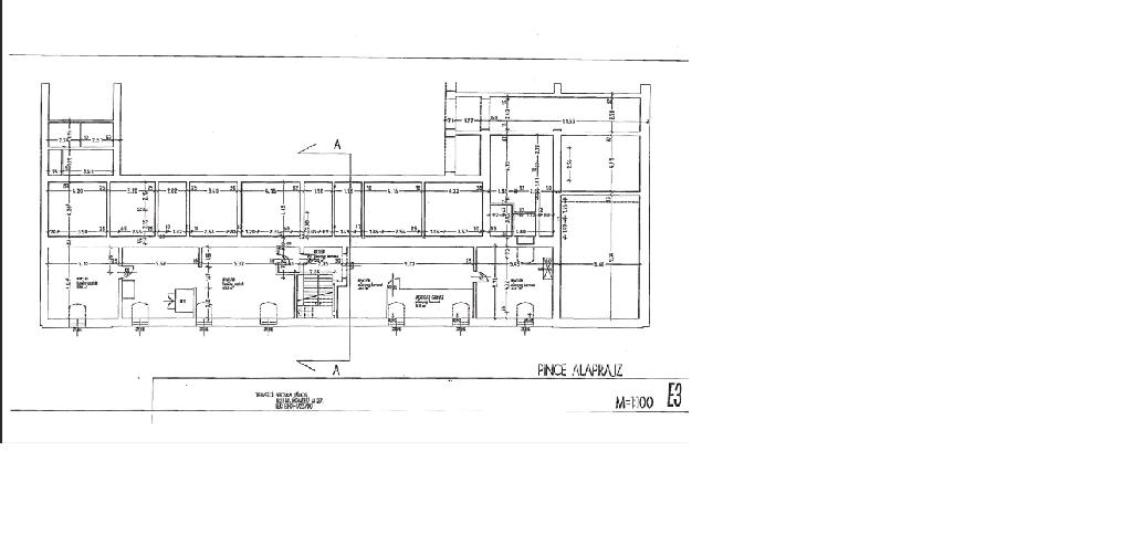 576 nm - AADAT.propertyImage (2)