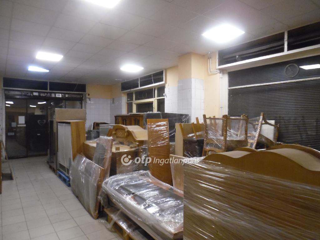 576 nm - AADAT.propertyImage (11)