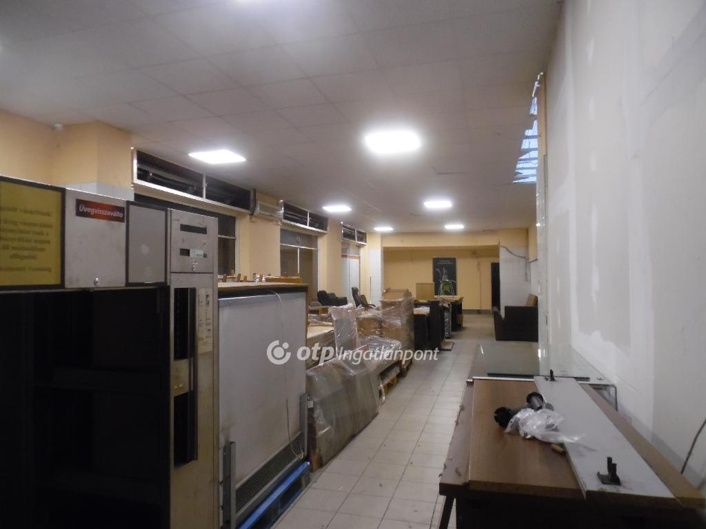 576 nm - AADAT.propertyImage (13)