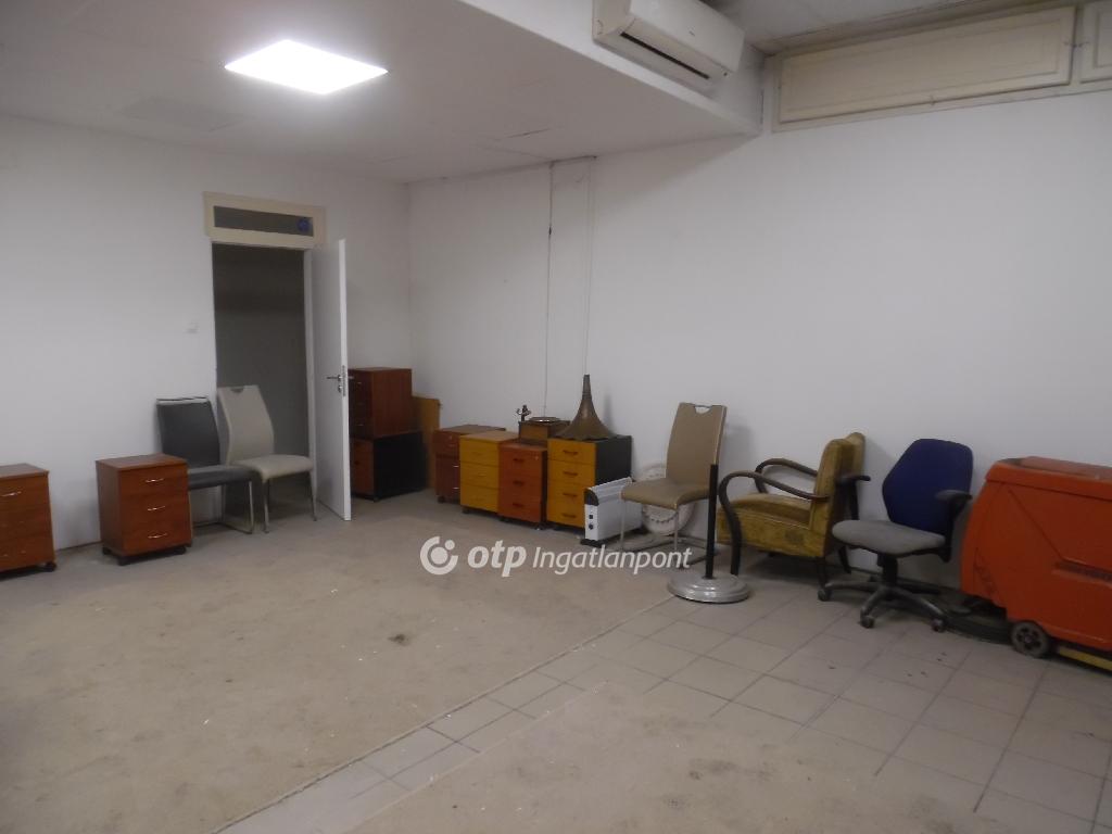 576 nm - AADAT.propertyImage (14)
