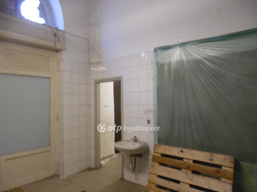 576 nm - AADAT.propertyImage (21)