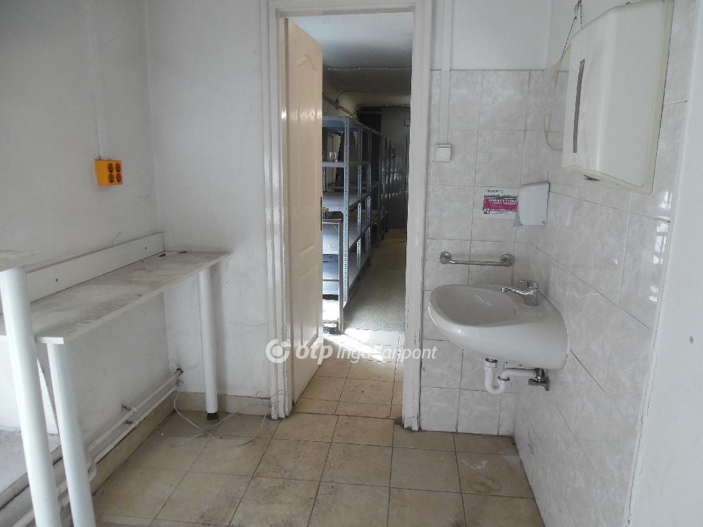 576 nm - AADAT.propertyImage (25)
