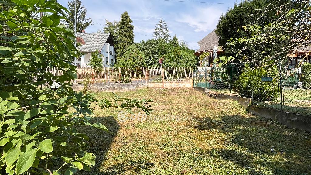 553 nm - AADAT.propertyImage (5)