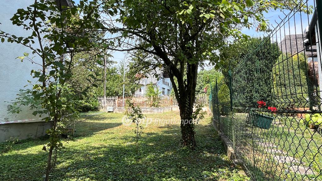 553 nm - AADAT.propertyImage (6)