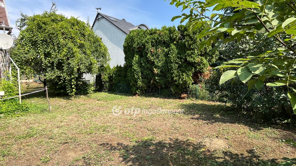 553 nm - AADAT.propertyImage (7)