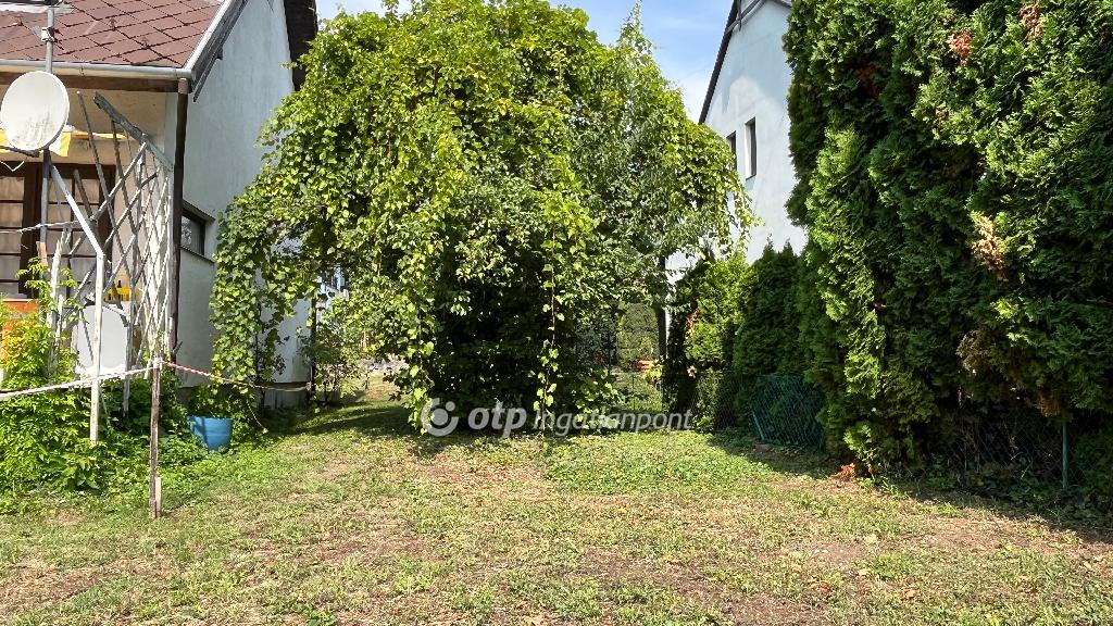 553 nm - AADAT.propertyImage (8)
