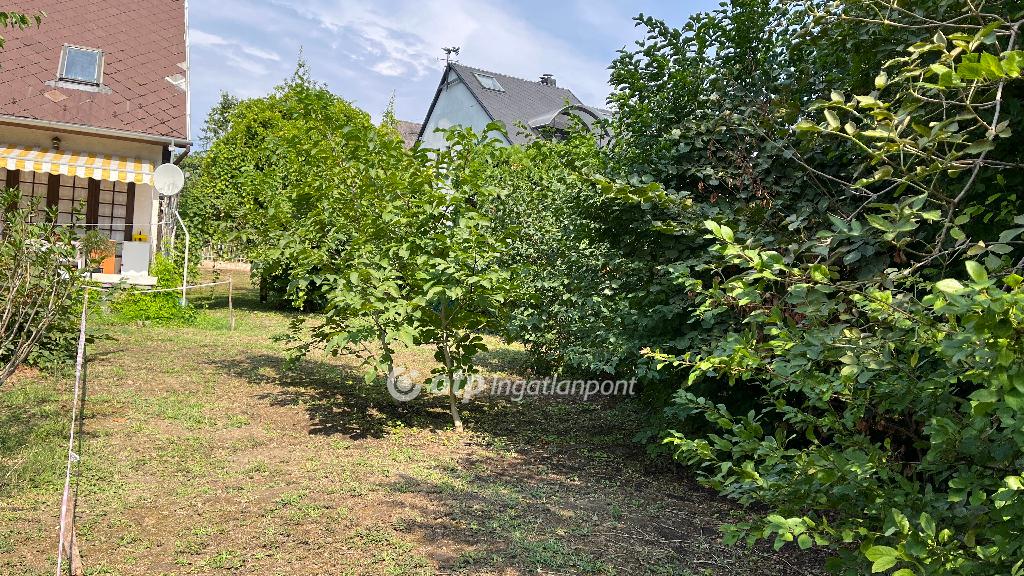 553 nm - AADAT.propertyImage (9)