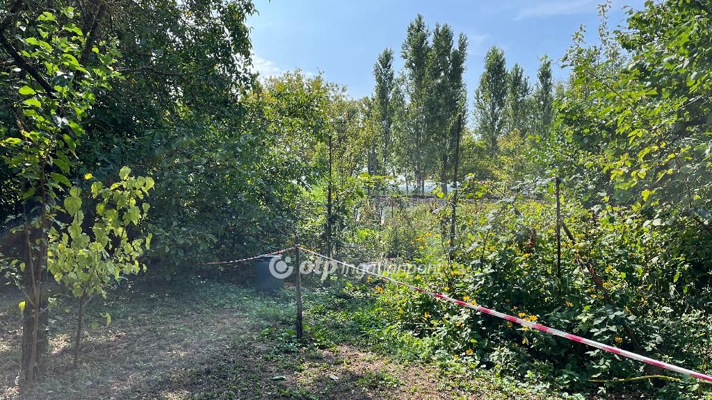 553 nm - AADAT.propertyImage (10)