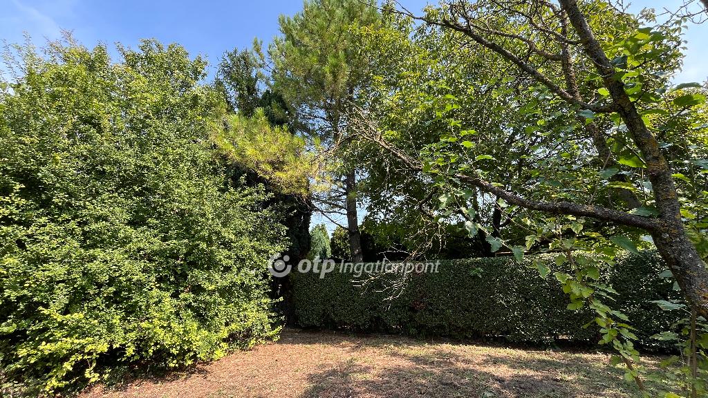 553 nm - AADAT.propertyImage (11)