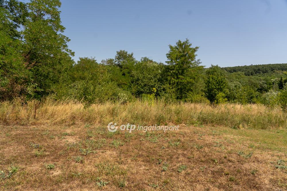 6 Szoba, tégla Építésű, 170 nm - AADAT.propertyImage (27)