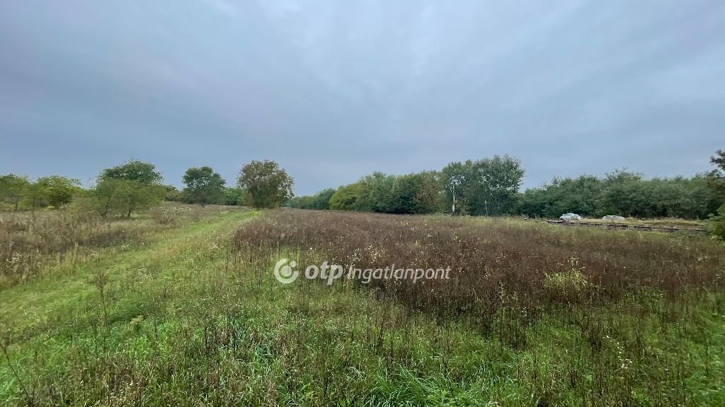 12265 nm - AADAT.propertyImage (3)