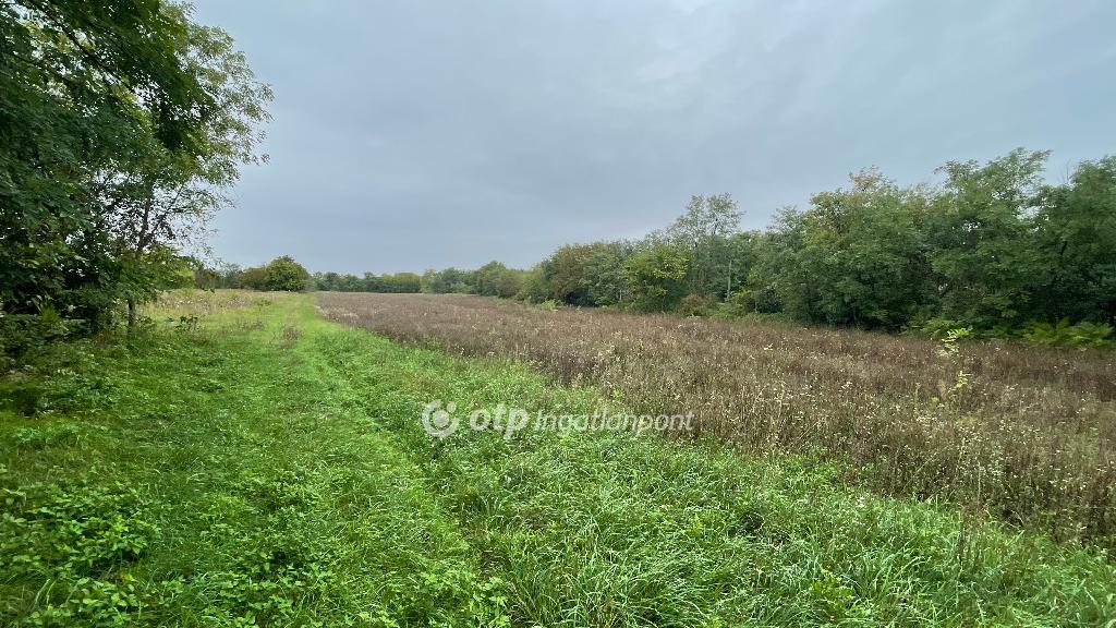 12265 nm - AADAT.propertyImage (5)