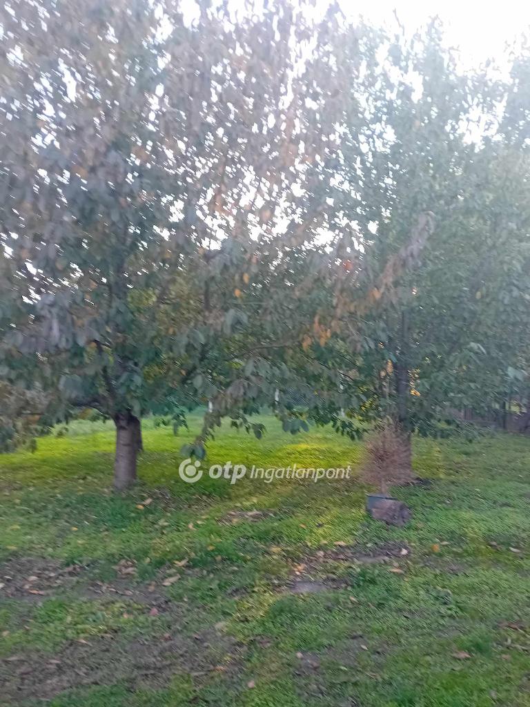 2+1 Szoba, vegyes falazat, 72 nm - AADAT.propertyImage (9)