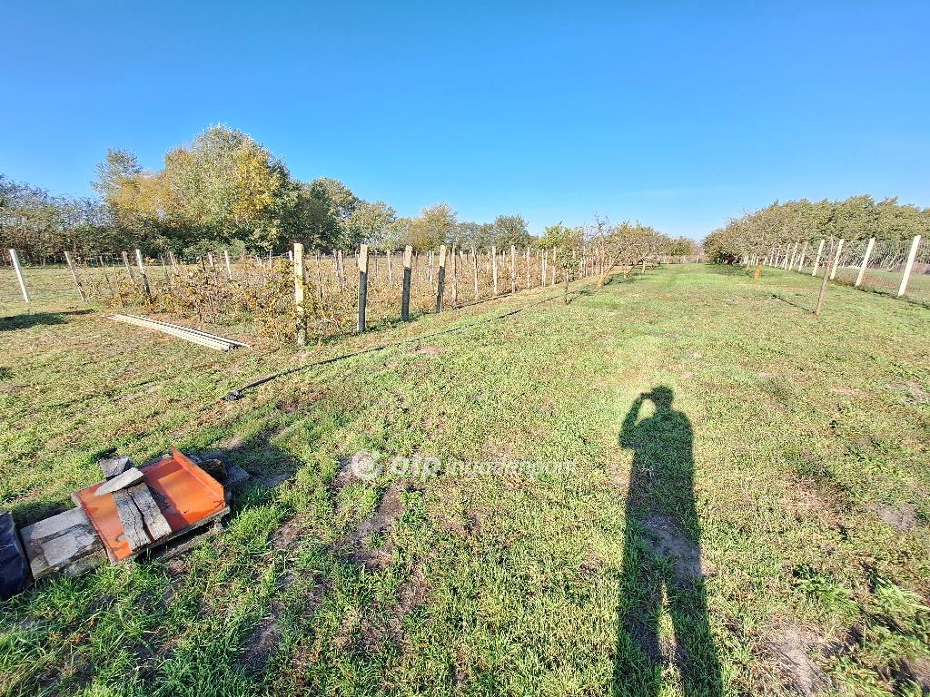4135 nm - AADAT.propertyImage (6)
