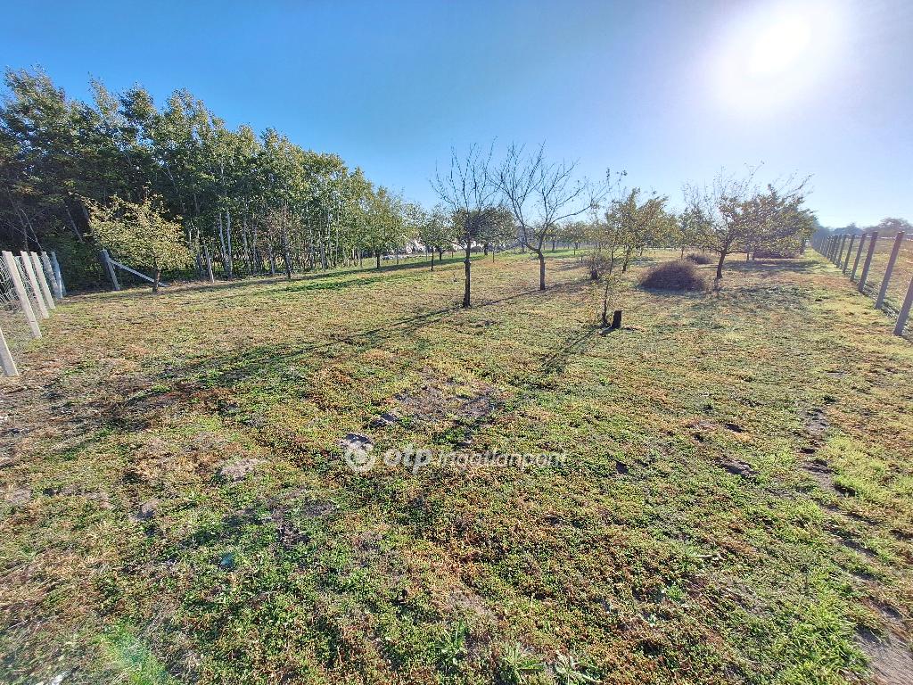 4135 nm - AADAT.propertyImage (7)