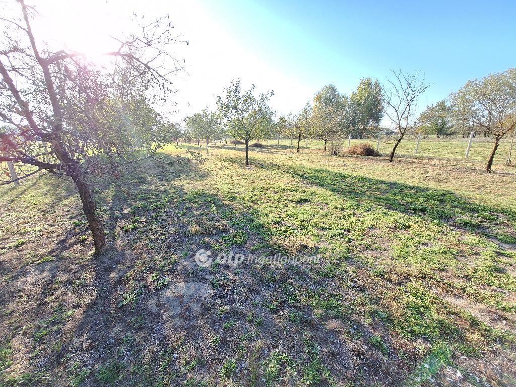 4135 nm - AADAT.propertyImage (8)