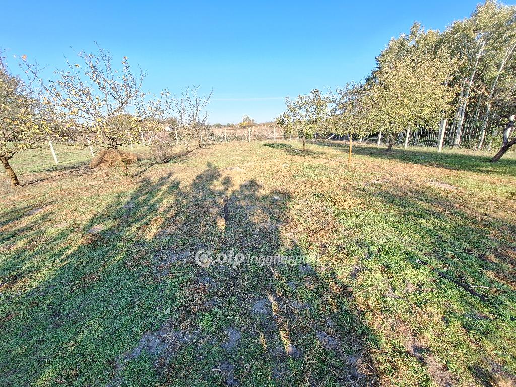 4135 nm - AADAT.propertyImage (10)
