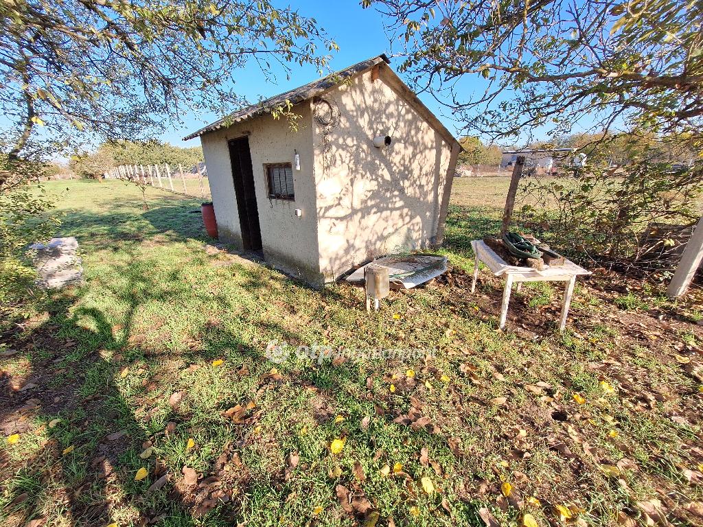 4135 nm - AADAT.propertyImage (1)
