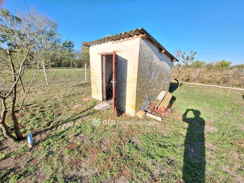 4135 nm - AADAT.propertyImage (4)