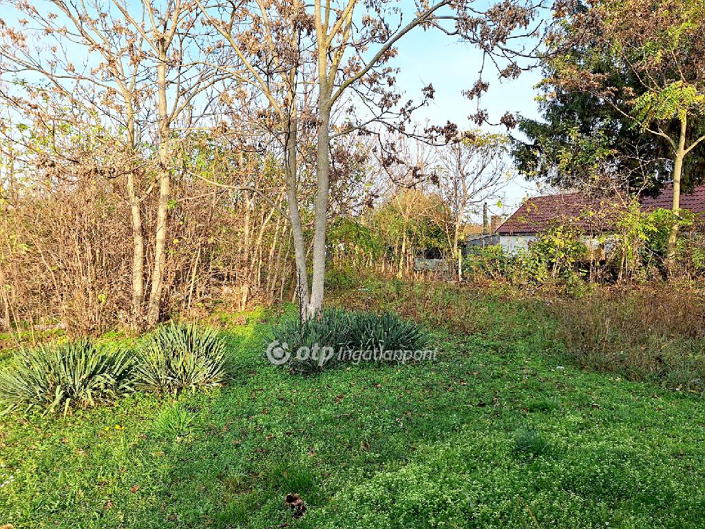2 Szoba, tégla Építésű, 76 nm - AADAT.propertyImage (17)