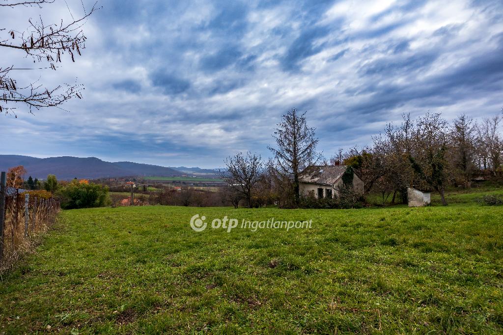 3590 nm - AADAT.propertyImage (3)