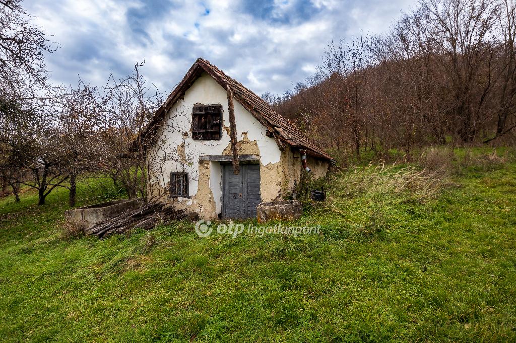 3590 nm - AADAT.propertyImage (1)