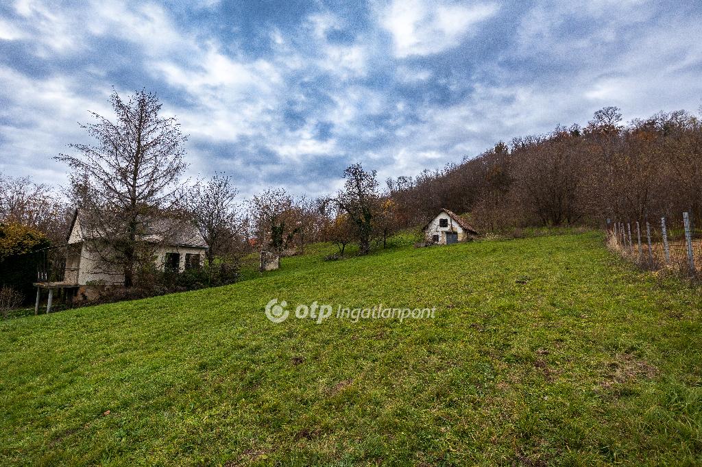 3590 nm - AADAT.propertyImage (5)