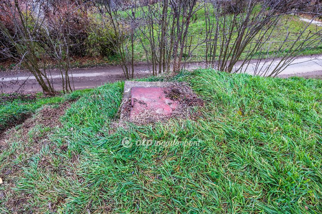 3590 nm - AADAT.propertyImage (8)