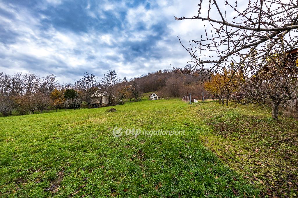 3590 nm - AADAT.propertyImage (6)